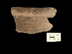 Shepard Rim mended sherds with cord-impressed decoration from the Rosenstock site 18FR18/101.